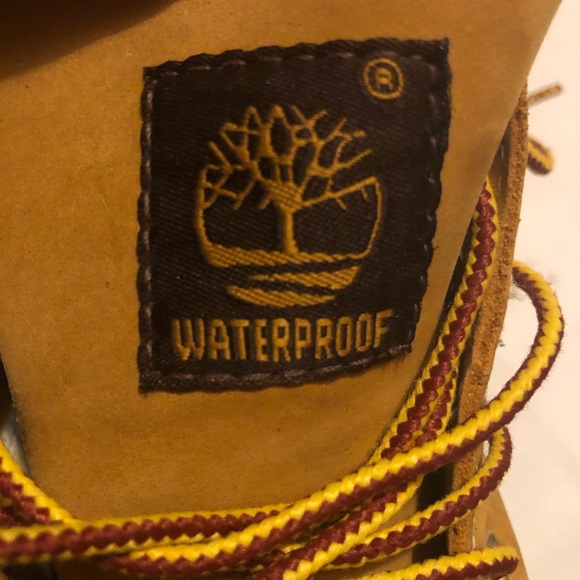 Timberland 6 inch classic waterproof boots 🥾